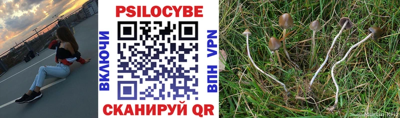 Псилоцибиновые грибы Psilocybe Родники